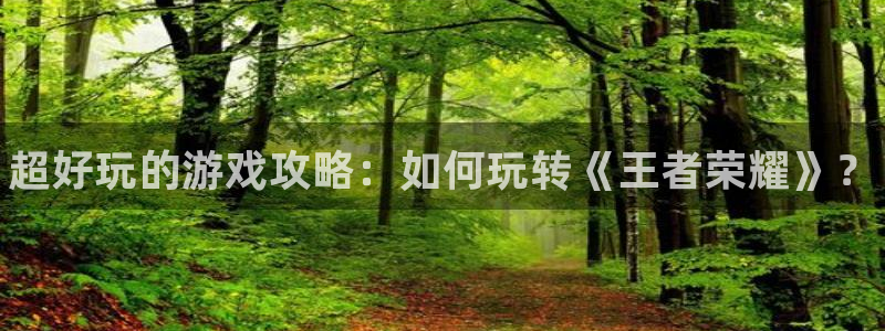 杜邦娱乐直属：超好玩的游戏攻略：如何玩转《王者荣耀》？