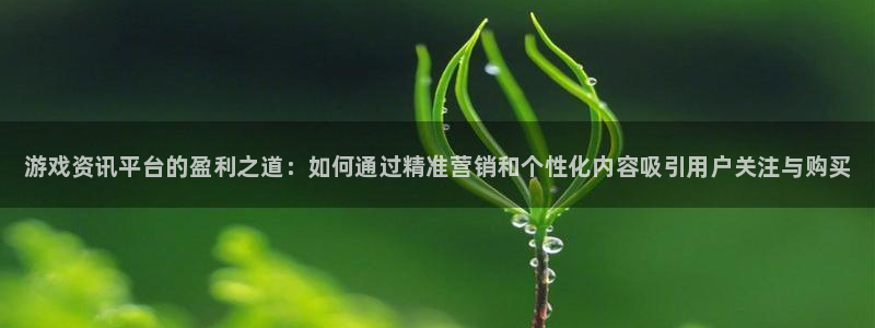 杜邦娱乐4主管：游戏资讯平台的盈利之道：如何通过精准营销和个