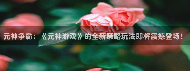 杜邦娱乐登陆：元神争霸：《元神游戏》的全新策略玩法即将震撼登