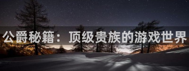 杜邦娱乐线路测试：公爵秘籍：顶级贵族的游戏世界