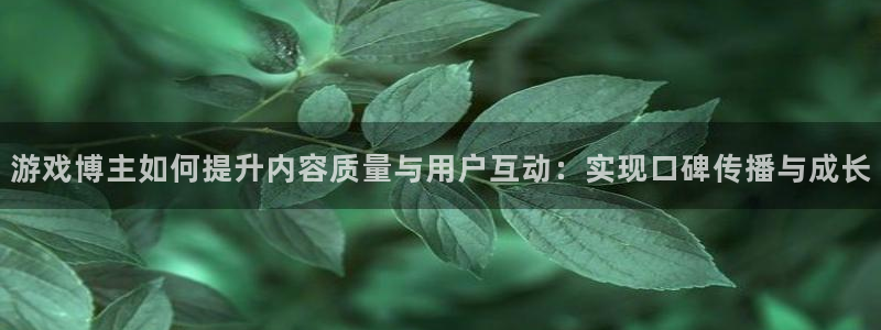 杜邦娱乐注册账号：游戏博主如何提升内容质量与用户互动：实现口