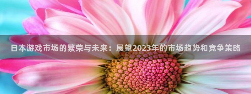 杜邦娱乐什么意思：日本游戏市场的繁荣与未来：展望2023年的