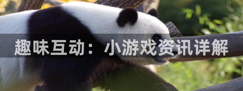 手机版杜邦娱乐客户端下载：趣味互动：小游戏资讯详解